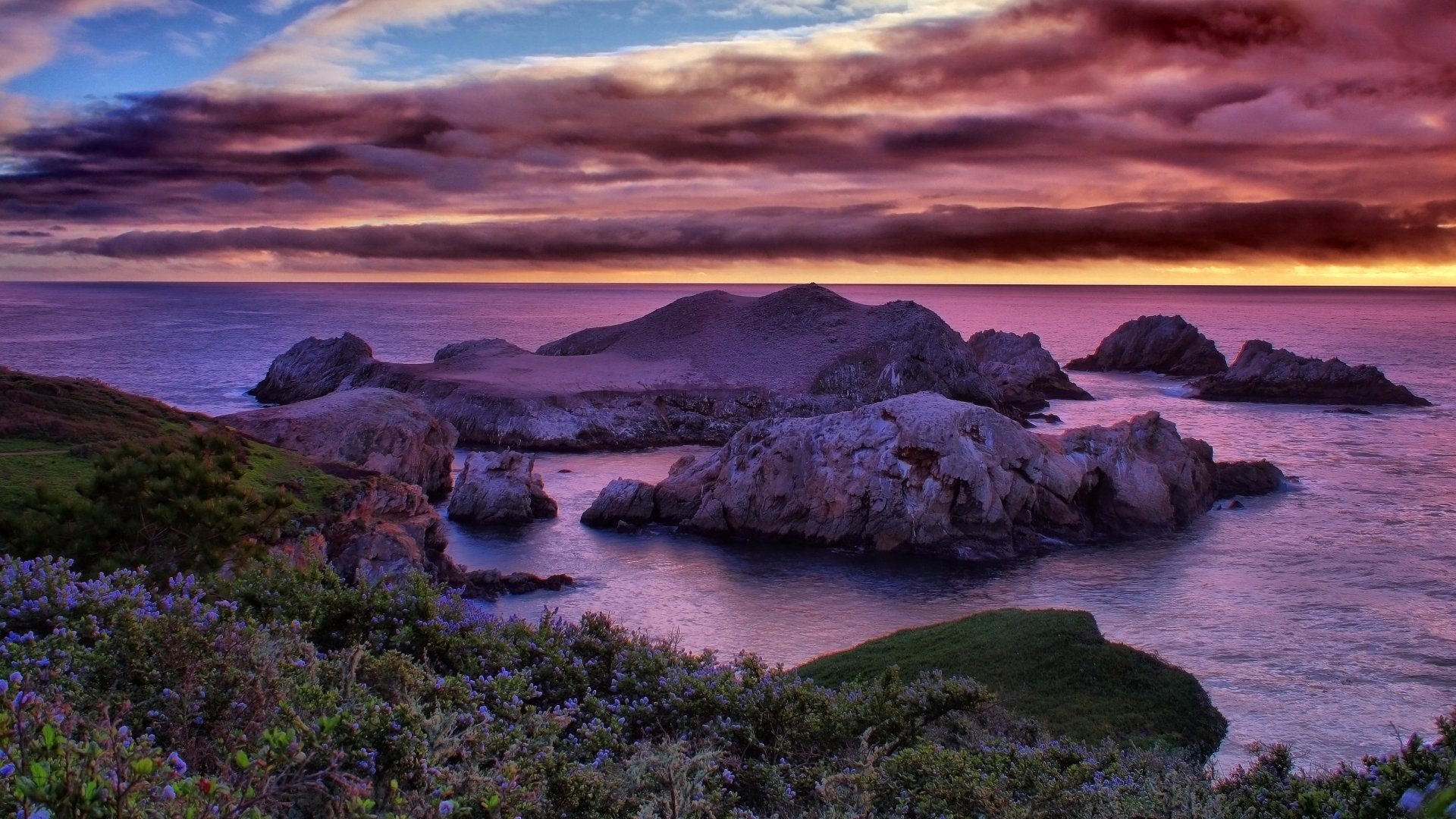 Download Horizon Flower Ocean Coast Nature Coastline HD Wallpaper