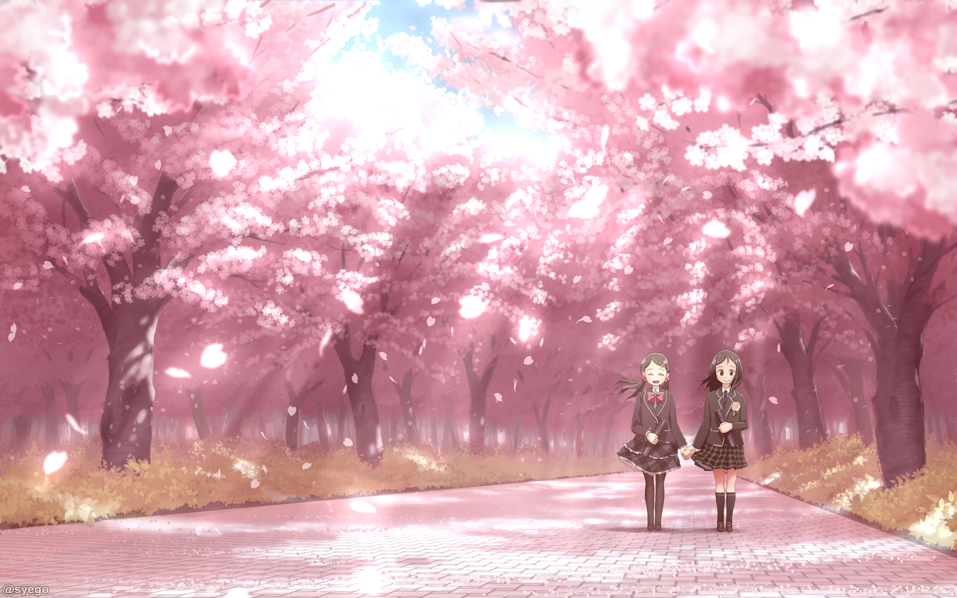 HD anime-style PC desktop wallpaper depicting two girls walking under vibrant pink cherry blossom trees in full bloom along a serene pathway.
