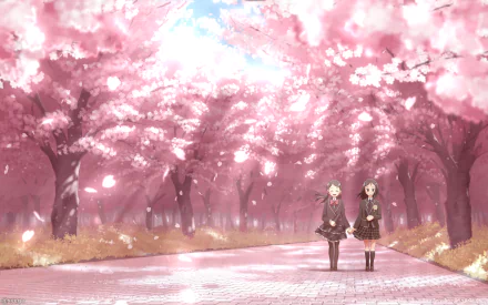 HD anime-style PC desktop wallpaper depicting two girls walking under vibrant pink cherry blossom trees in full bloom along a serene pathway.