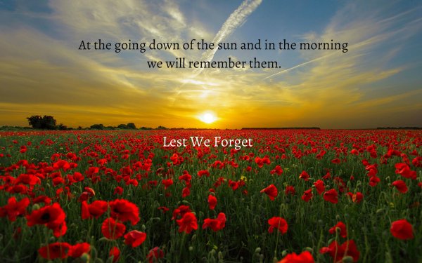 Anzac Day remembrance wall / Lest We Forget 4k Ultra HD Wallpaper ...