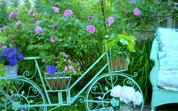 Hecho por el hombre Jardín Tierra Primavera Flor Bicicleta Chair Rosa Colores Colorful Fondo de pantalla HD | Fondo de Escritorio