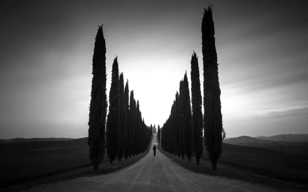 monochrome man made path HD Desktop Wallpaper | Background Image