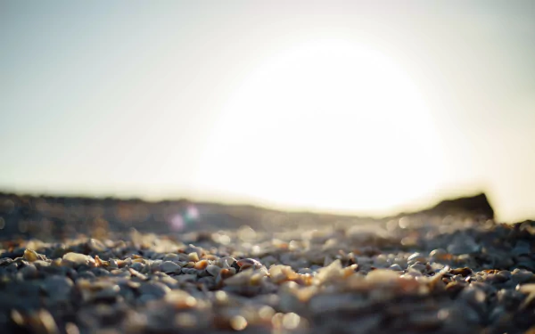 sunset pebbles nature beach HD Desktop Wallpaper | Background Image
