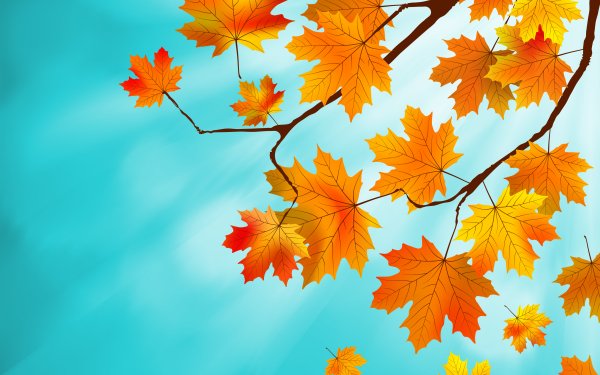 Artistic Leaf Fall Yellow HD Wallpaper | Background Image