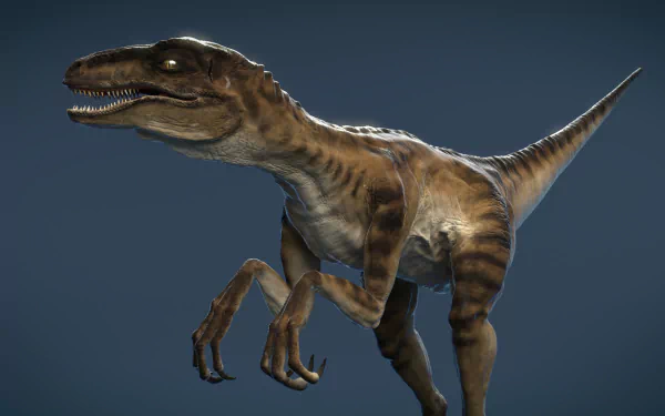 HD PC desktop wallpaper featuring a detailed velociraptor animal against a dark background, showcasing its sharp teeth and claws in a dynamic pose.