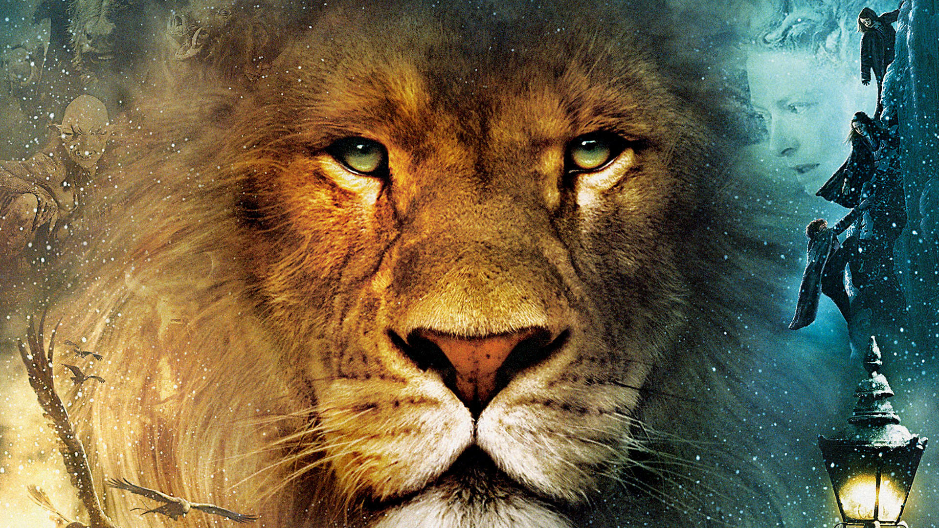 Narnia, aslan, lion, HD phone wallpaper