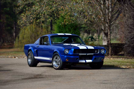 muscle car Shelby Mustang GT 350SR vehicle Shelby Mustang GT 350 HD Desktop Wallpaper | Background Image
