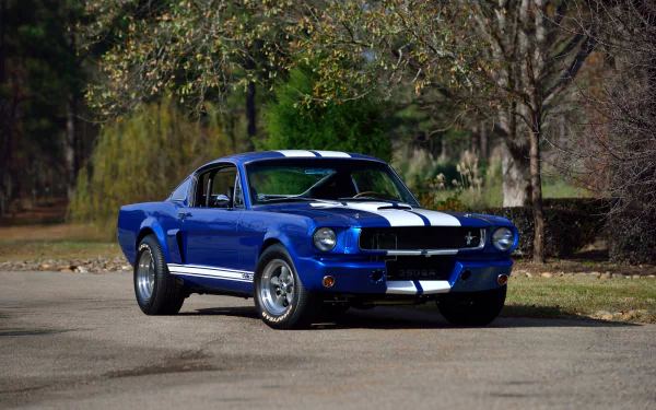 muscle car Shelby Mustang GT 350SR vehicle Shelby Mustang GT 350 HD Desktop Wallpaper | Background Image