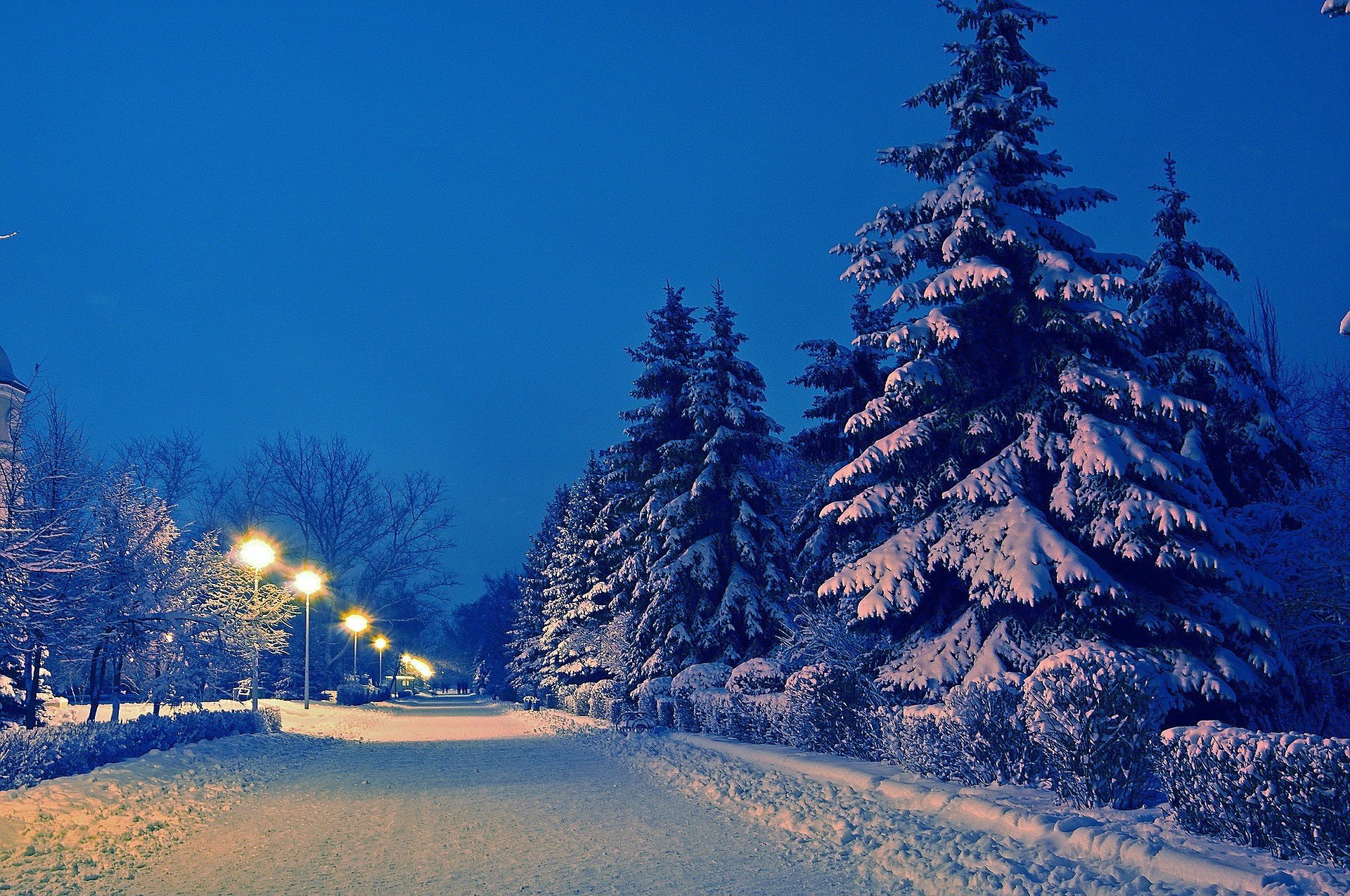 Download Snow Tree Street Light Road Earth Photography Winter HD Wallpaper