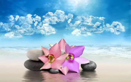 A serene HD wallpaper featuring pink and purple flowers on smooth stones, set against a tranquil ocean with a blue sky and fluffy clouds, evoking a zen and spiritual atmosphere.