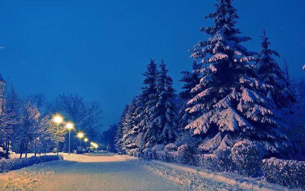  Winter Road
