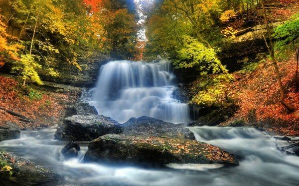 Earth Waterfall Waterfalls Fall Forest Tree HD Wallpaper | Background Image