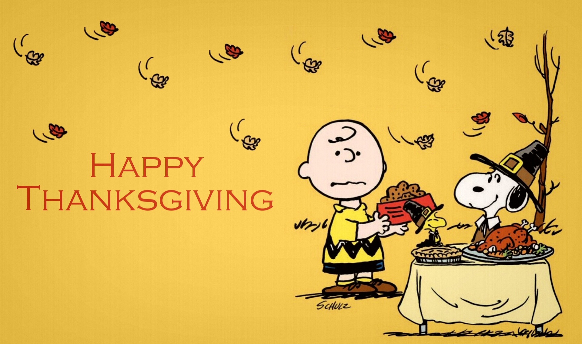 Movie A Charlie Brown Thanksgiving HD Wallpaper | Background Image