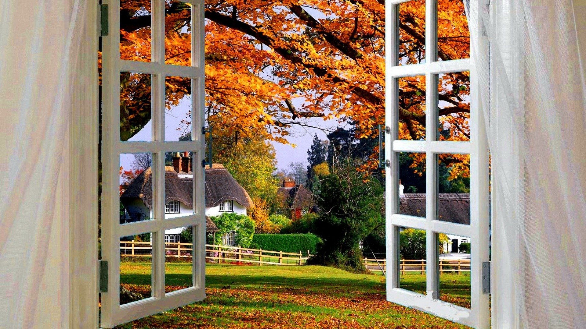 Autumn View: HD Wallpaper of Fall Through a Window