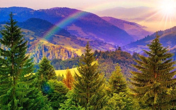 Earth Rainbow Mountain Landscape Tree Fall HD Wallpaper | Background Image