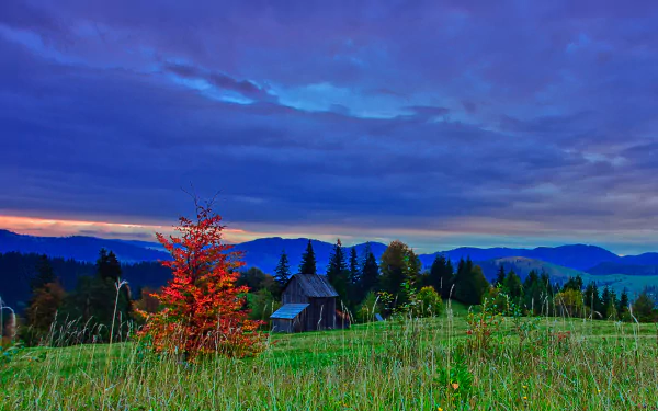 HD desktop wallpaper photo: autumn landscape in Romania — lone red tree on a grassy field, rustic cabin, rolling forested hills in earthy tones under a dramatic twilight sky.