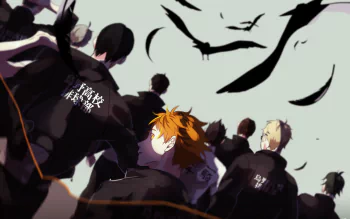 Haikyuu wallpaper deals computer