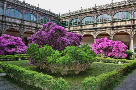 HD wallpaper of a beautiful man-made garden in Santiago, Galicia, Spain, featuring vibrant flowering bushes and intricate historical architecture surrounding the greenery.