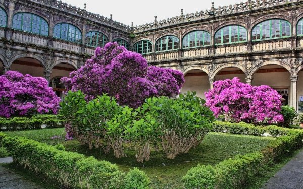 Man Made Garden Santiago Galicia Spain Flower HD Wallpaper | Background Image
