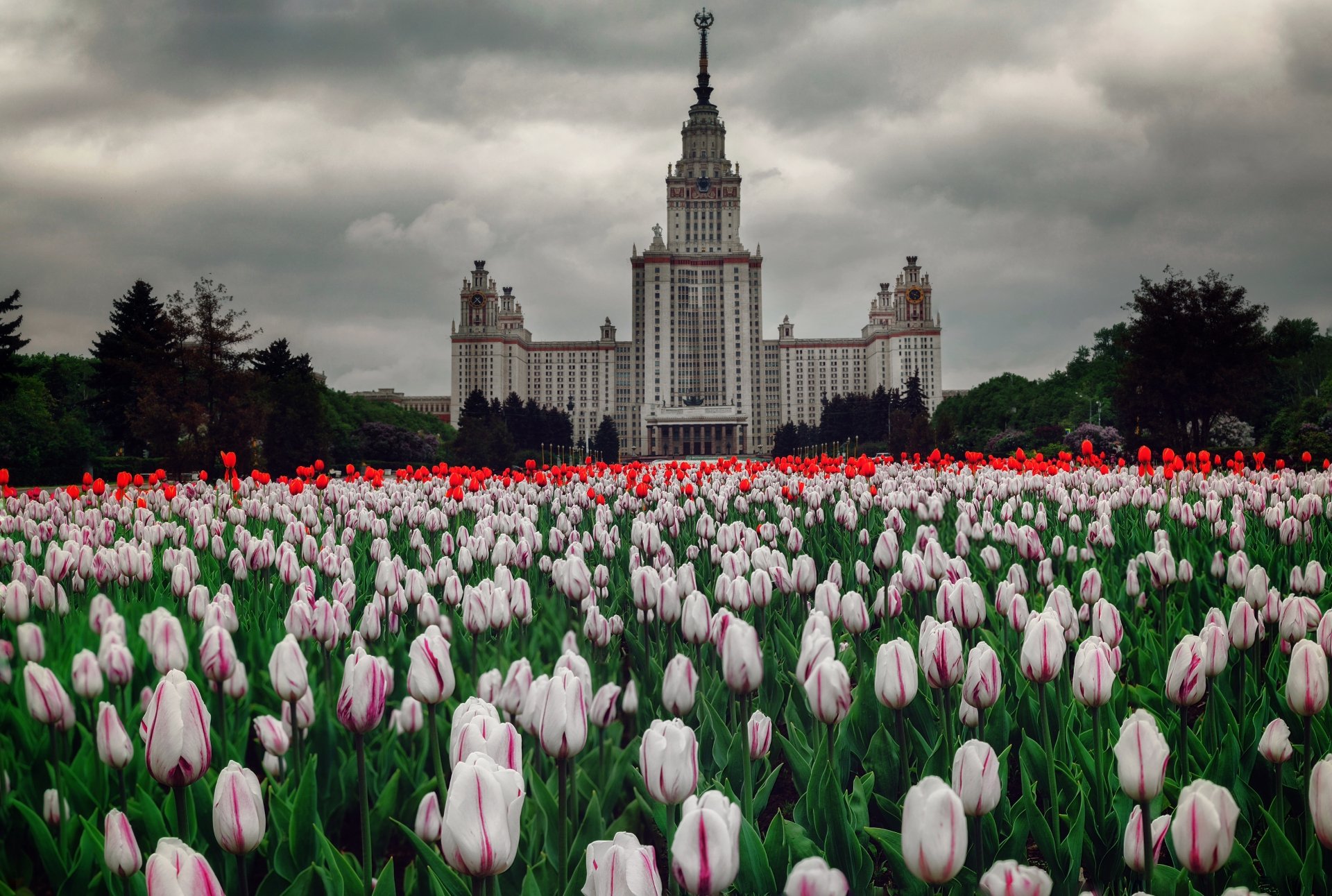 Фото весенней москвы красивые