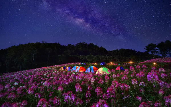 A vibrant campsite with colorful tents nestled in a field of flowers under a starry sky, featuring the Milky Way, creating a serene nighttime atmosphere.