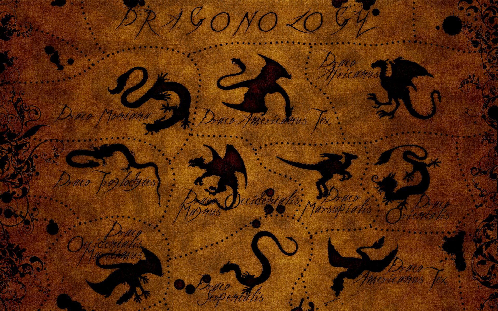 HD fantasy desktop wallpaper featuring various silhouettes of dragons on a parchment-like background, with handwritten annotations detailing different dragon species.