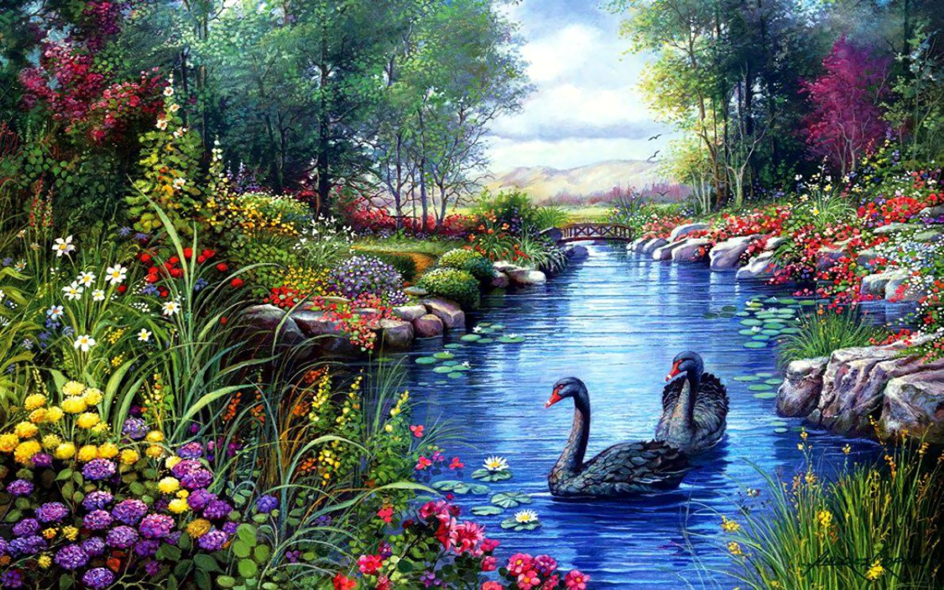 Black Swans in Spring Pond