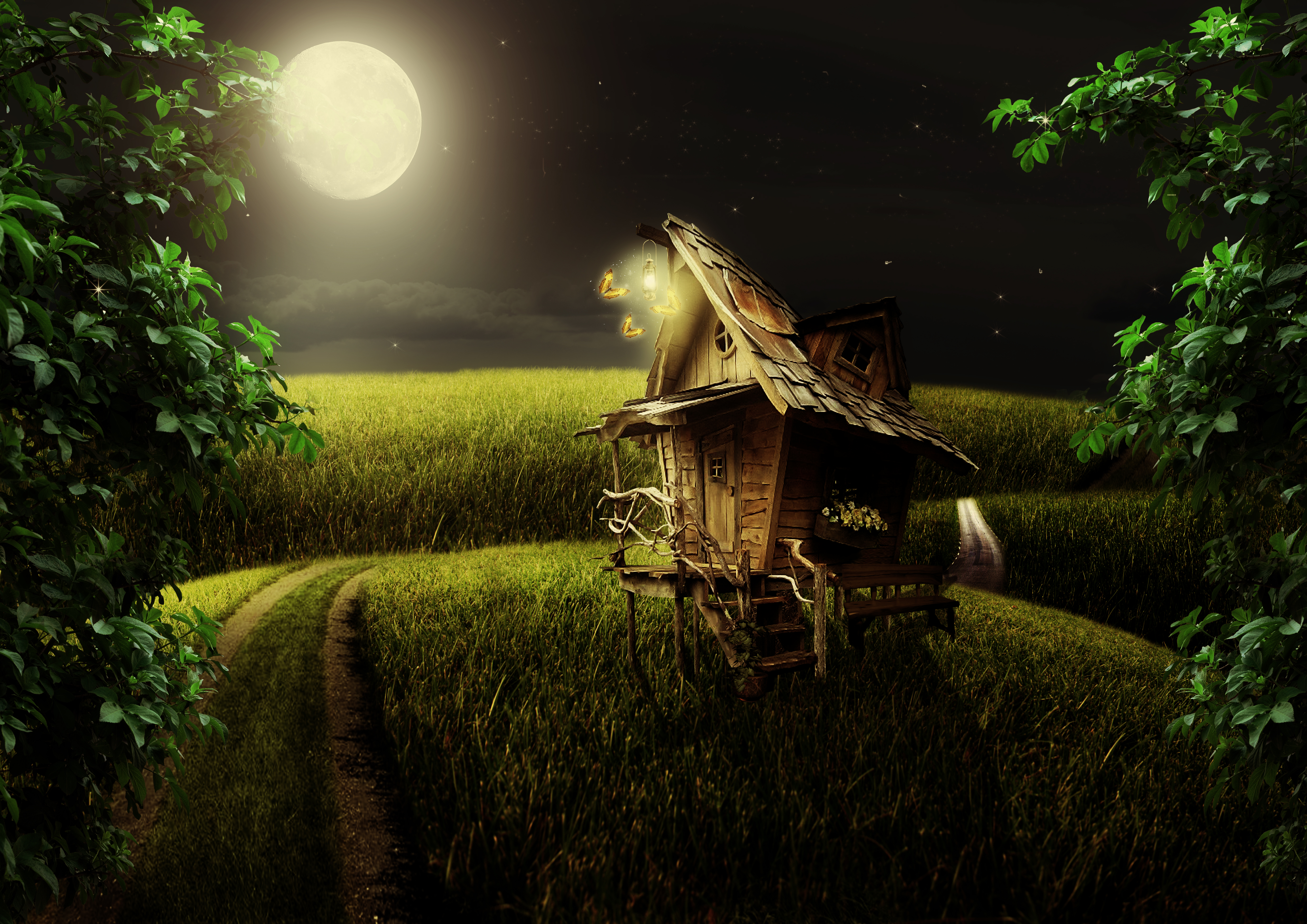 Fantasy House in Field by Korolevatumana