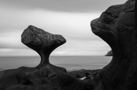 Black and white HD desktop wallpaper showcasing a serene ocean horizon with uniquely shaped rocks in the foreground, highlighting nature's sculpted beauty.