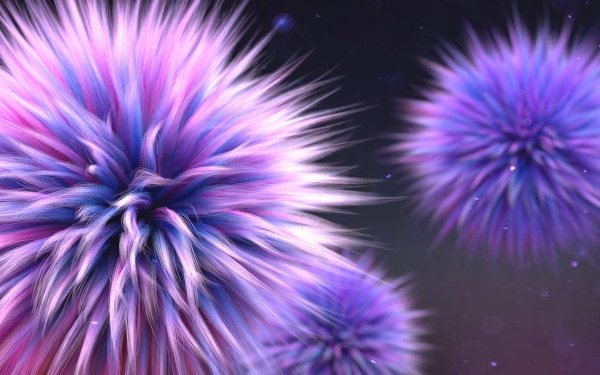 Artistic Flower Flowers Purple Pink HD Wallpaper | Background Image