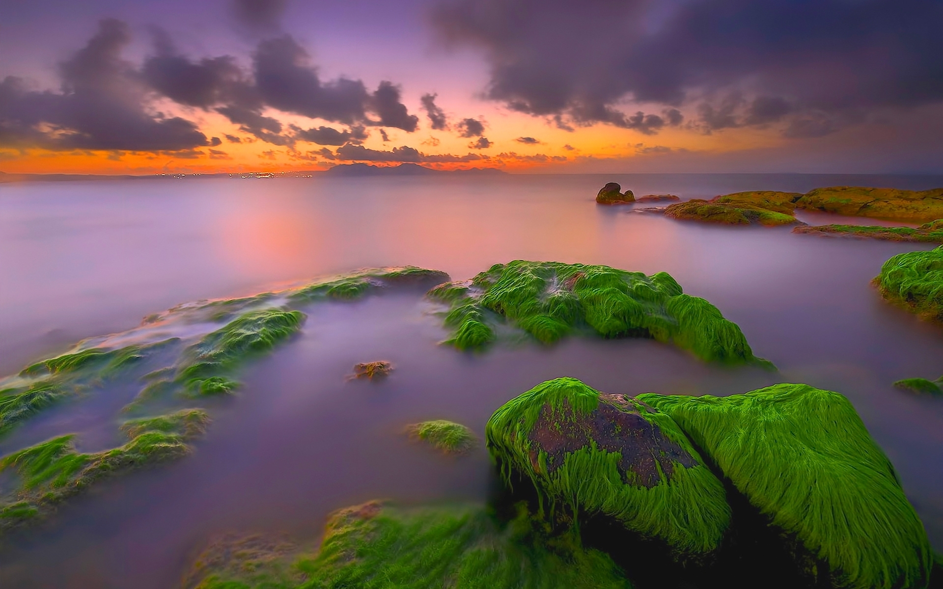 Download Horizon Sunset Moss Sea Nature Ocean HD Wallpaper