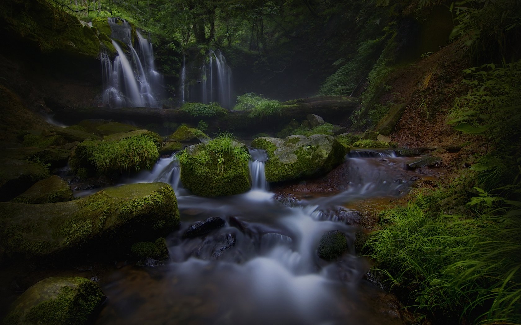 Download Tree Dark Forest Nature Waterfall Wallpaper