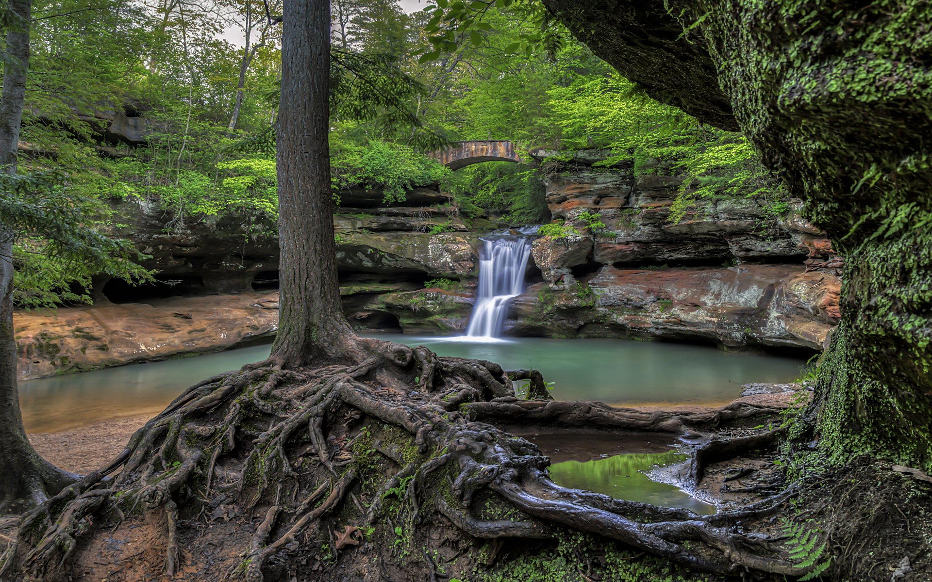 4K Ultra HD desktop wallpaper featuring a serene river waterfall surrounded by lush woodlands and ancient tree roots in a vibrant natural setting.