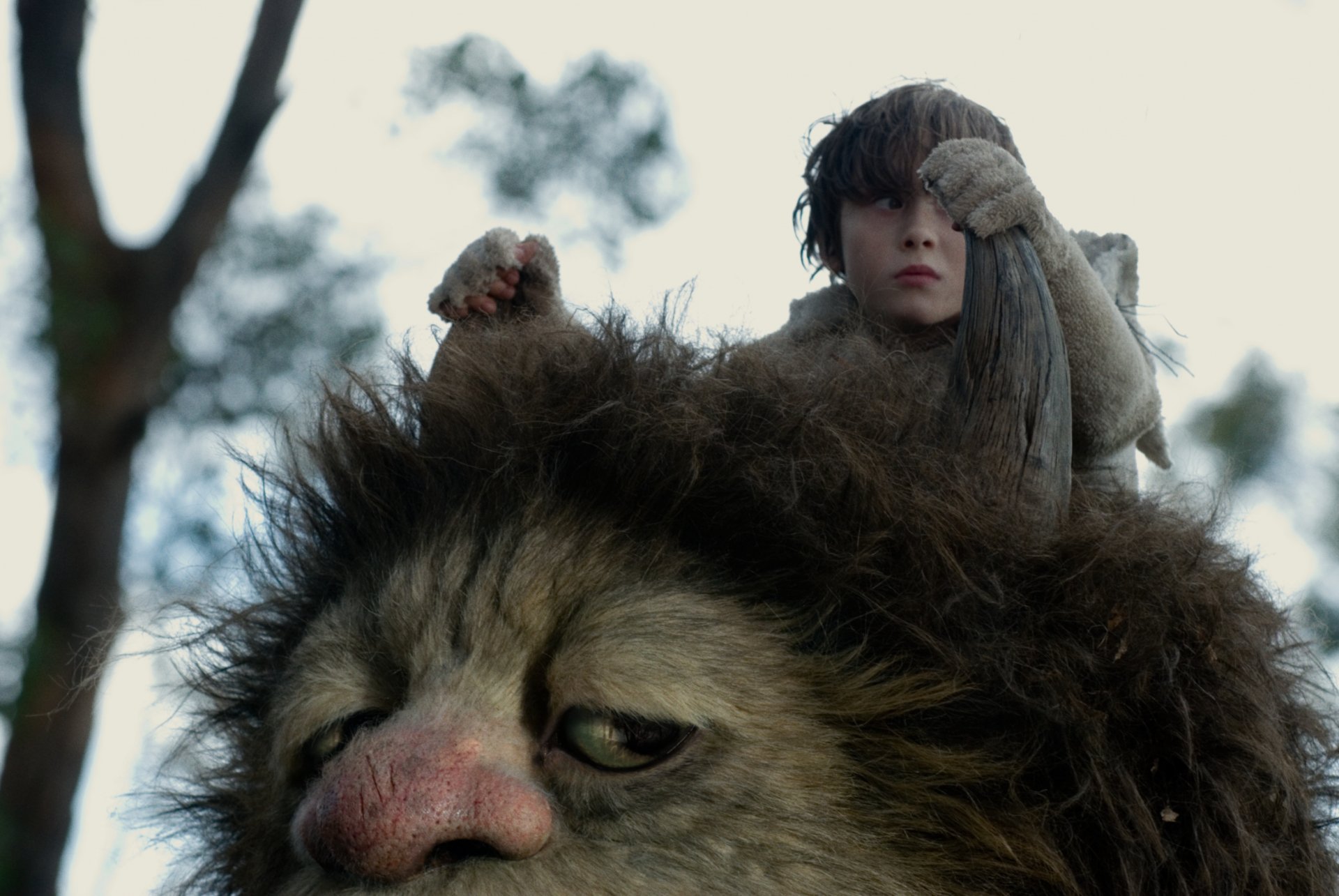 HD PC desktop wallpaper from the movie Where the Wild Things Are featuring a boy riding on the back of a large, furry creature in a forest setting.