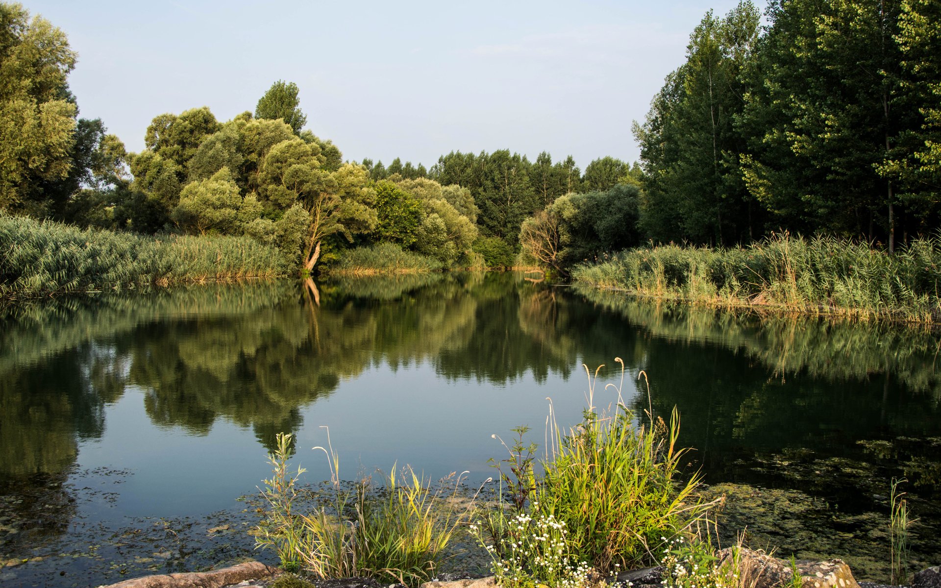 4K Ultra HD PC desktop wallpaper: tranquil Danube river landscape with forested banks, lush nature and mirror-like water reflection.