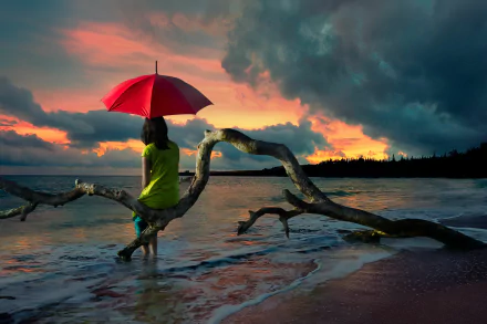 A woman holding a red umbrella stands at the shore during a stunning sunset, gazing at the ocean. A weathered branch arches over the water as waves gently lap the sand. HD desktop wallpaper background.