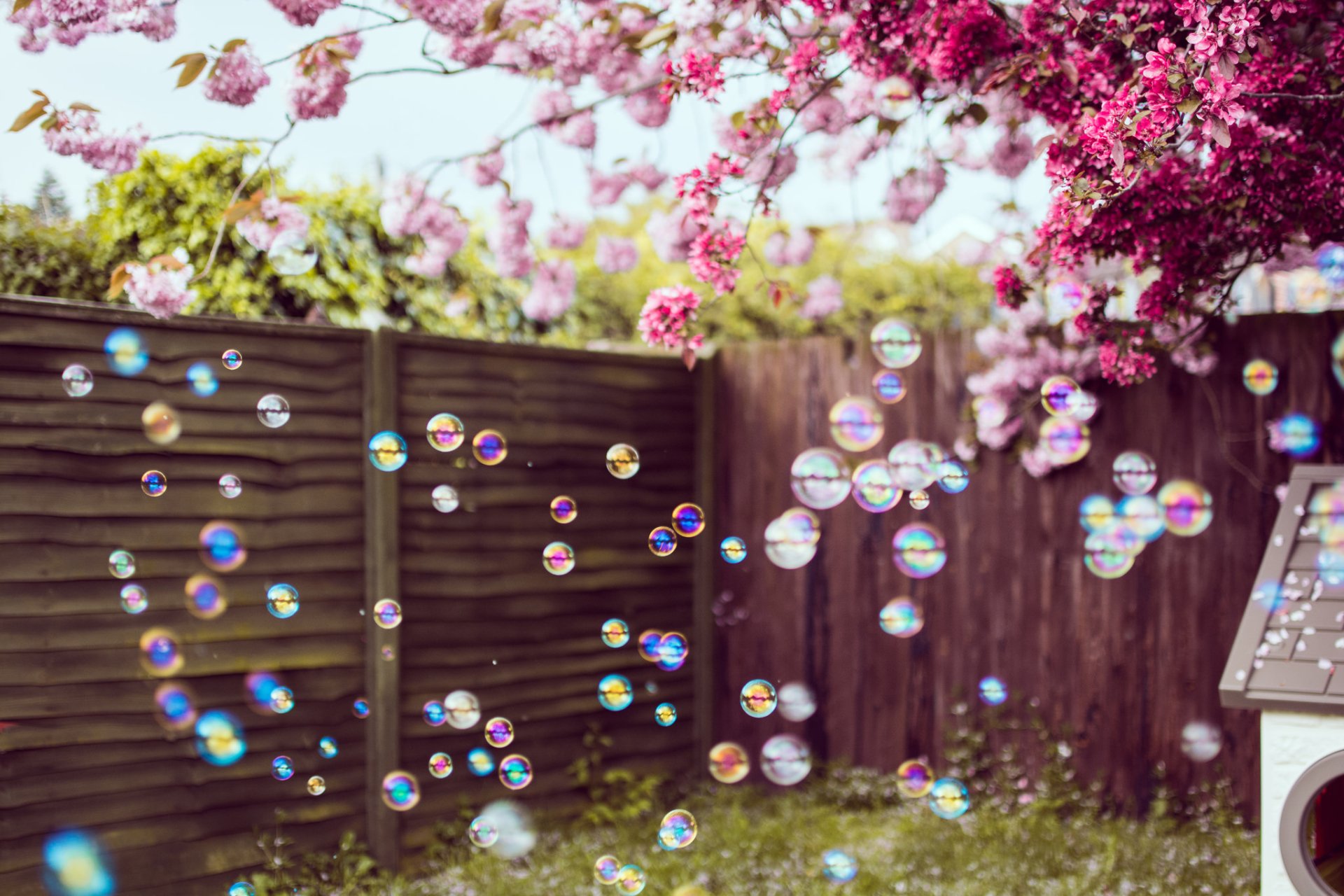 Bubble HD Wallpaper | Background Image | 2048x1365 | ID:711281