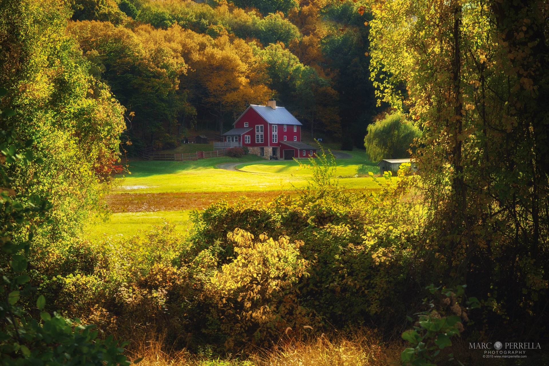 4K Ultra HD PC desktop wallpaper: forest landscape with a red man-made house in a sunlit clearing, surrounded by golden autumn trees.