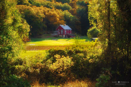 4K Ultra HD PC desktop wallpaper: forest landscape with a red man-made house in a sunlit clearing, surrounded by golden autumn trees.