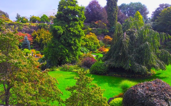 Man Made Garden Canada Queen Elizabeth Gardens Tree Bush HD Wallpaper | Background Image