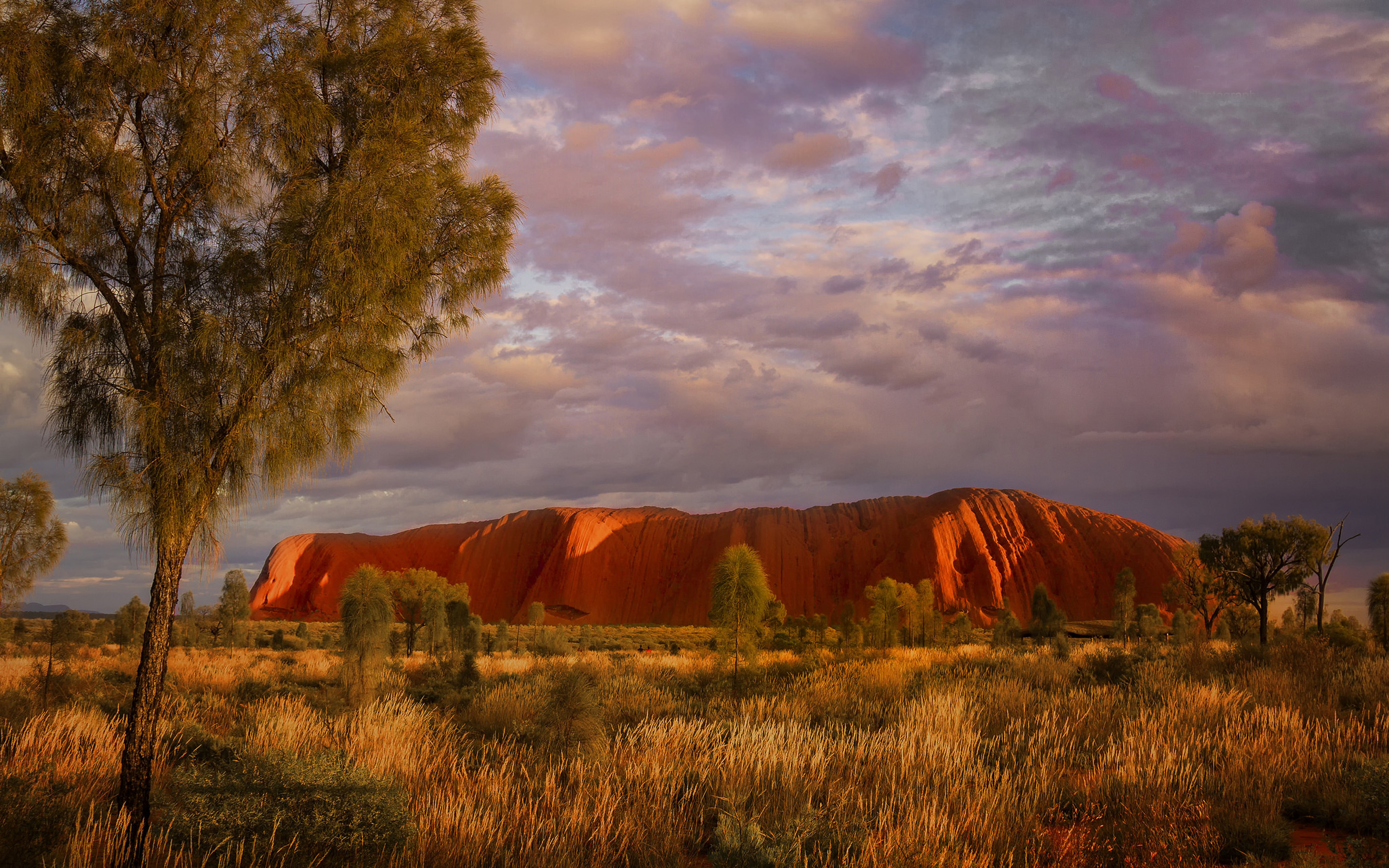 Uluru - Northern Territory Australia by Jacqui Barker