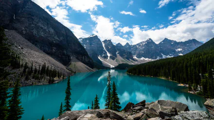 A stunning view of Moraine Lake, featuring vibrant turquoise water surrounded by towering mountains and lush evergreen trees, captured in rich detail for a breathtaking nature wallpaper.