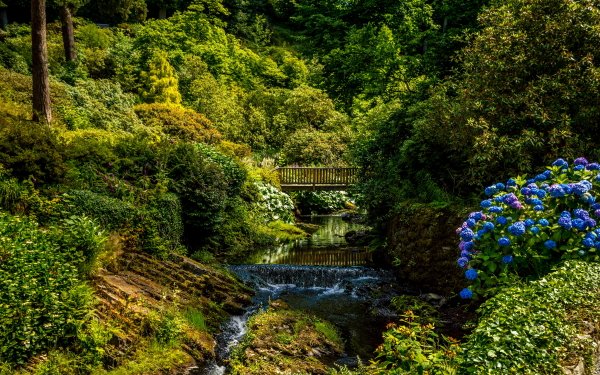 Photography Park Bridge Spring Flower Greenery HD Wallpaper | Background Image