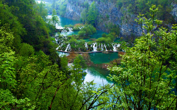 Lush green trees surround a series of cascading waterfalls and clear turquoise lakes in Plitvice Lakes National Park, captured in an HD desktop wallpaper.