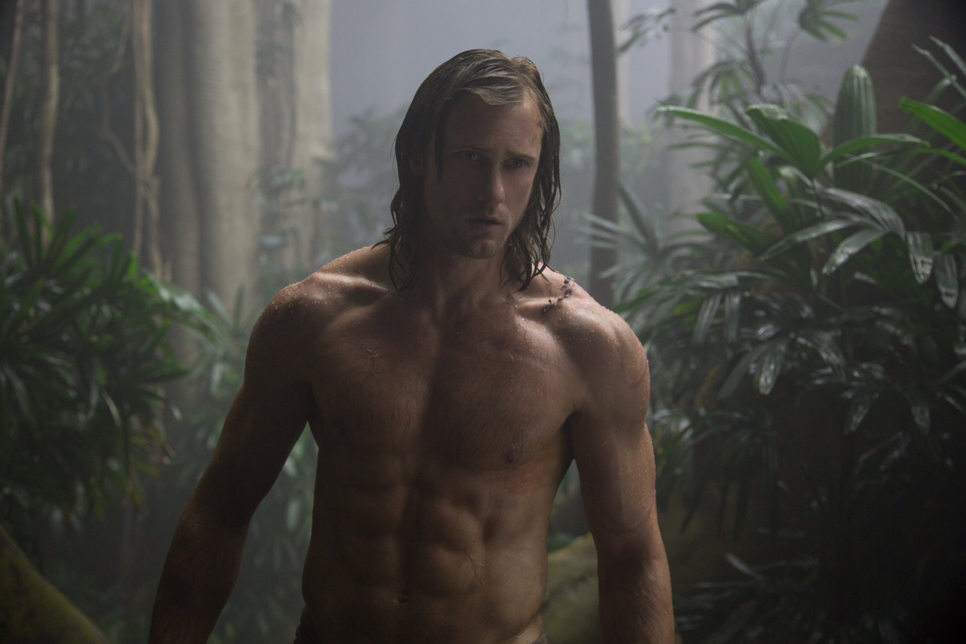 Download Tarzan Alexander Skarsgård Movie The Legend Of Tarzan 4k Ultra HD Wallpaper