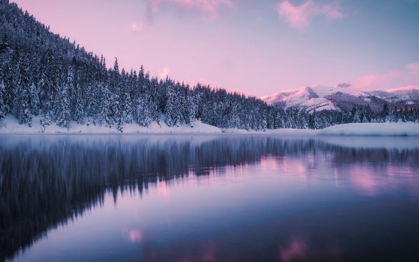 Nature Lake Lakes Winter Reflection Forest HD Wallpaper | Background Image