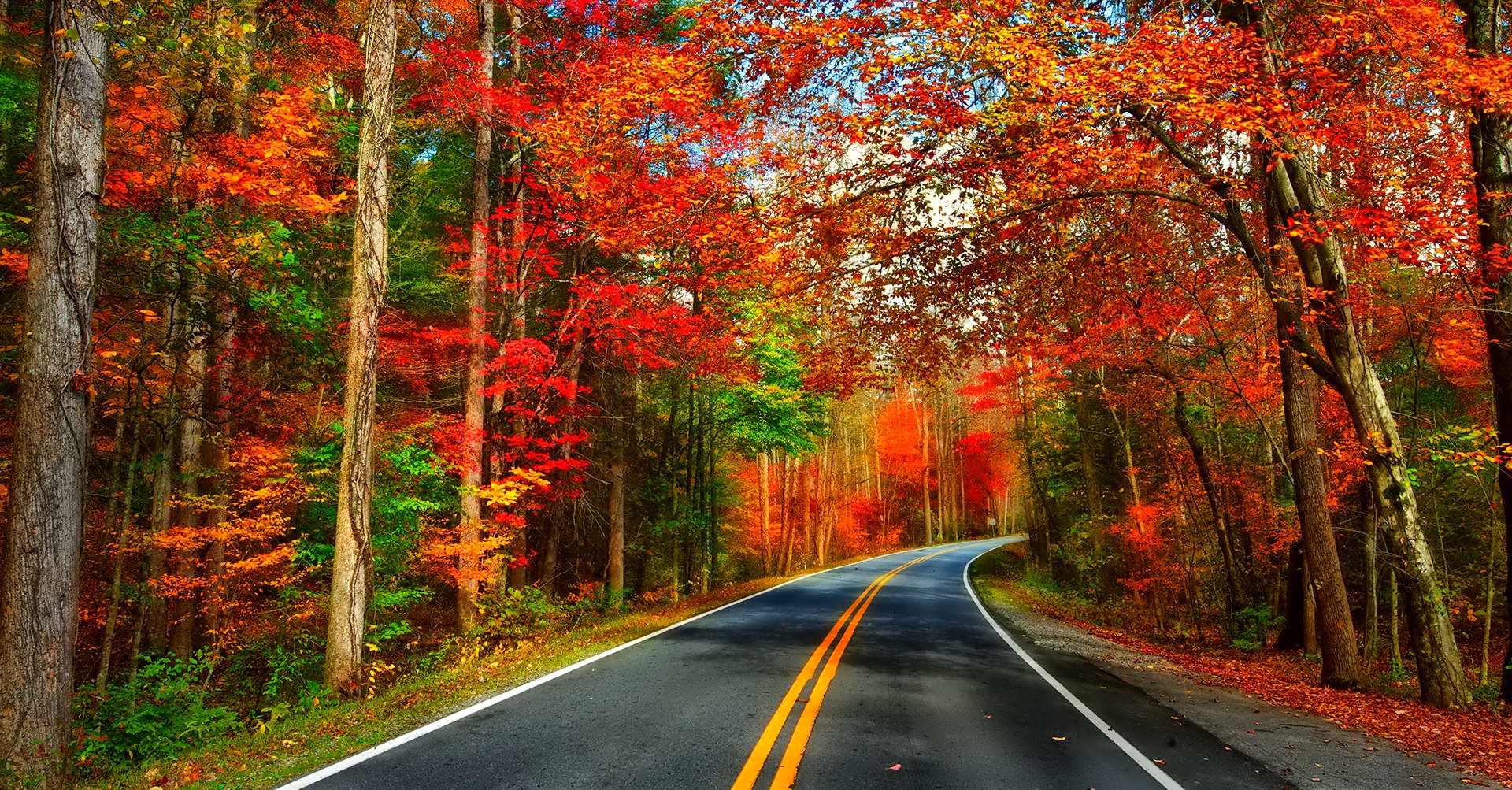 Autumn Road Desktop Backgrounds