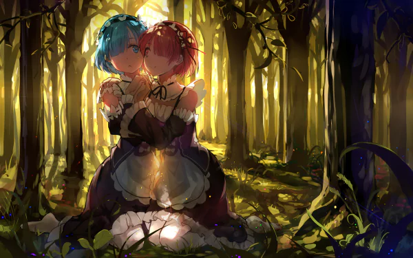 HD wallpaper featuring Rem and another character from Re:Zero - Starting Life in Another World embracing in a sunlit forest. The scene emanates warmth and tranquility, capturing the essence of the anime.