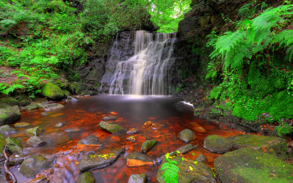 A vibrant 4K Ultra HD wallpaper featuring a lush green fern-filled forest surrounding a serene waterfall cascading over rocky terrain into a clear pool.