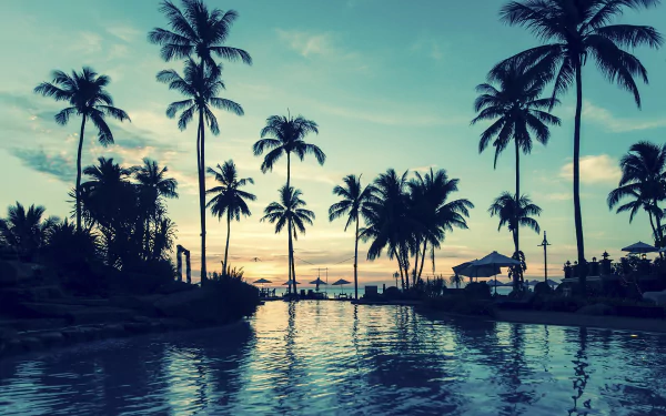 tropical water palm tree man made resort HD Desktop Wallpaper | Background Image